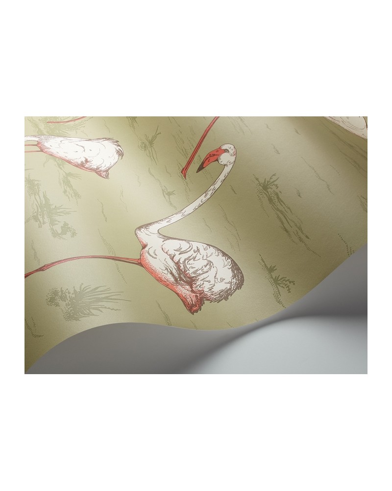 Wallpaper 112-11038 FLAMINGOS - COLE and SON