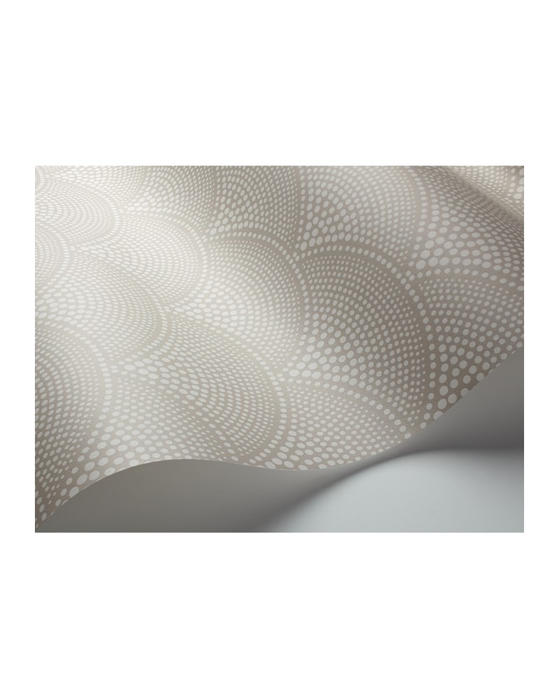 Wallpaper 112-10034 FEATHER FAN - COLE and SON