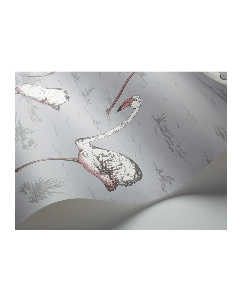 Tapete 112-11040 FLAMINGOS - COLE and SON