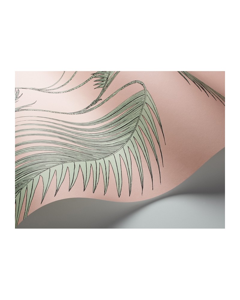 Wallpaper 112-2005 PALM LEAVES - COLE and SON