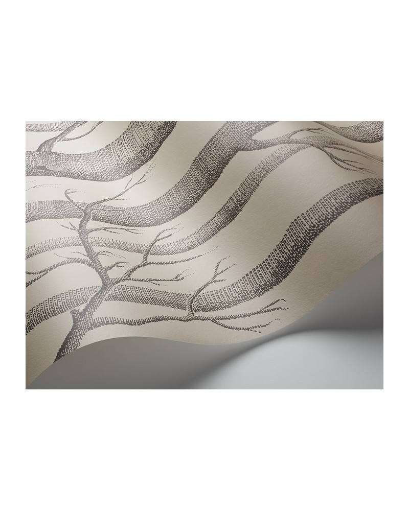 Carta da Parati 112-3009 WOODS - COLE and SON