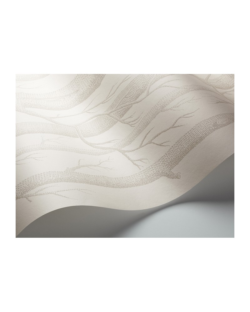 Papel Pintado 112-3011 WOODS - COLE and SON