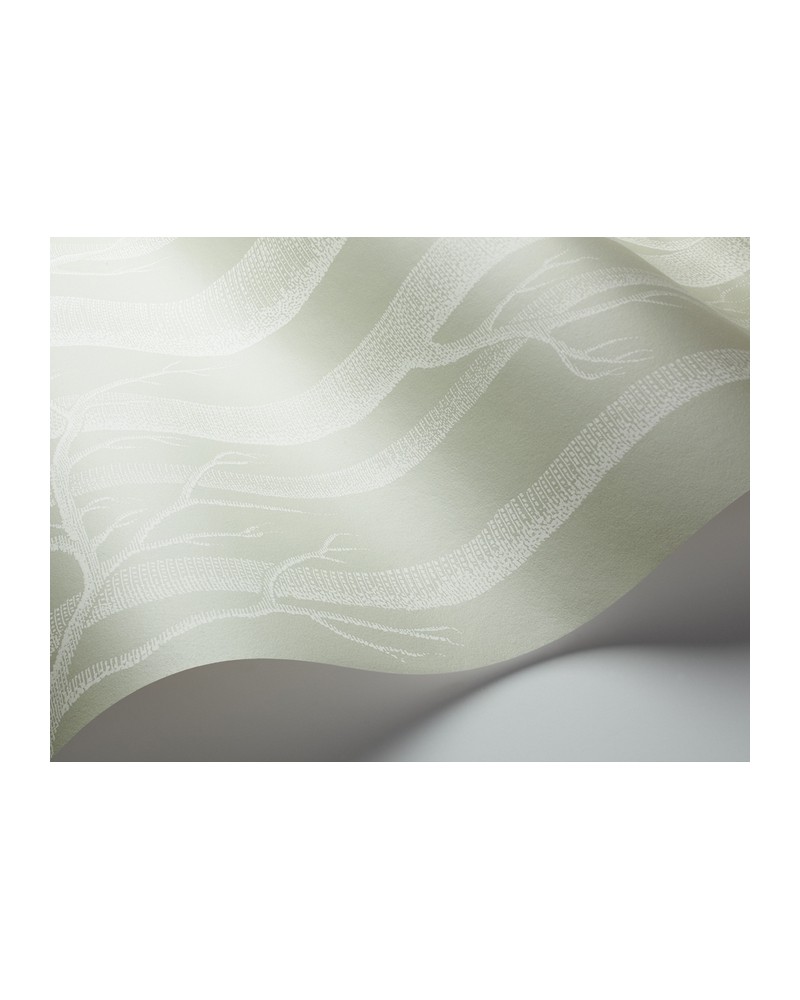 Wallpaper 112-3013 WOODS - COLE and SON