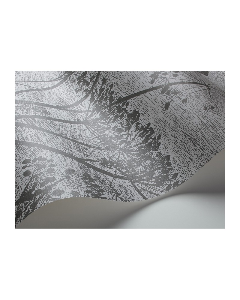 Wallpaper 112-8026 COW PARSLEY - COLE and SON
