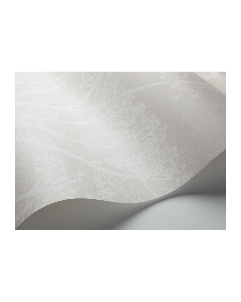 Wallpaper 112-8027 COW PARSLEY - COLE and SON