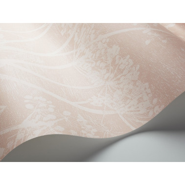PARSLEY DE COW 112-8028
