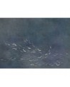 Papier peint 6600082 KOI NIGHT MURAL - COORDONNE