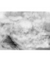 Papier peint 6600084 BRUMA STORM MURAL - COORDONNE