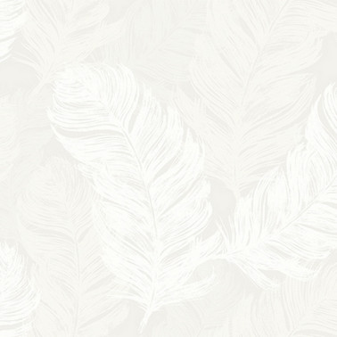 Papel Pintado OY31803 FEATHERS - WALLQUEST