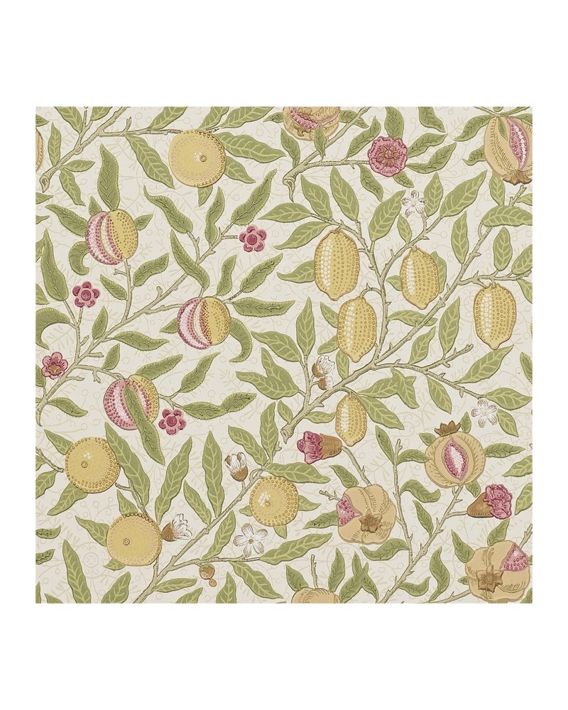 Wallpaper DMCR216459 FRUIT - MORRIS CO Wallpaper DMCR216459 FRUIT - MORRIS CO