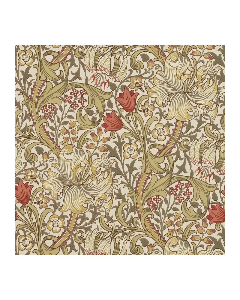 Papel de parede DMCR216462 GOLDEN LILY - MORRIS CO Papel de parede DMCR216462 GOLDEN LILY - MORRIS CO