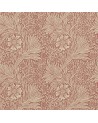 DMCR216482 MARIGOLD