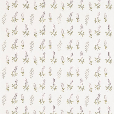 Tessuti DHPO236425 BILBERRY Sanderson