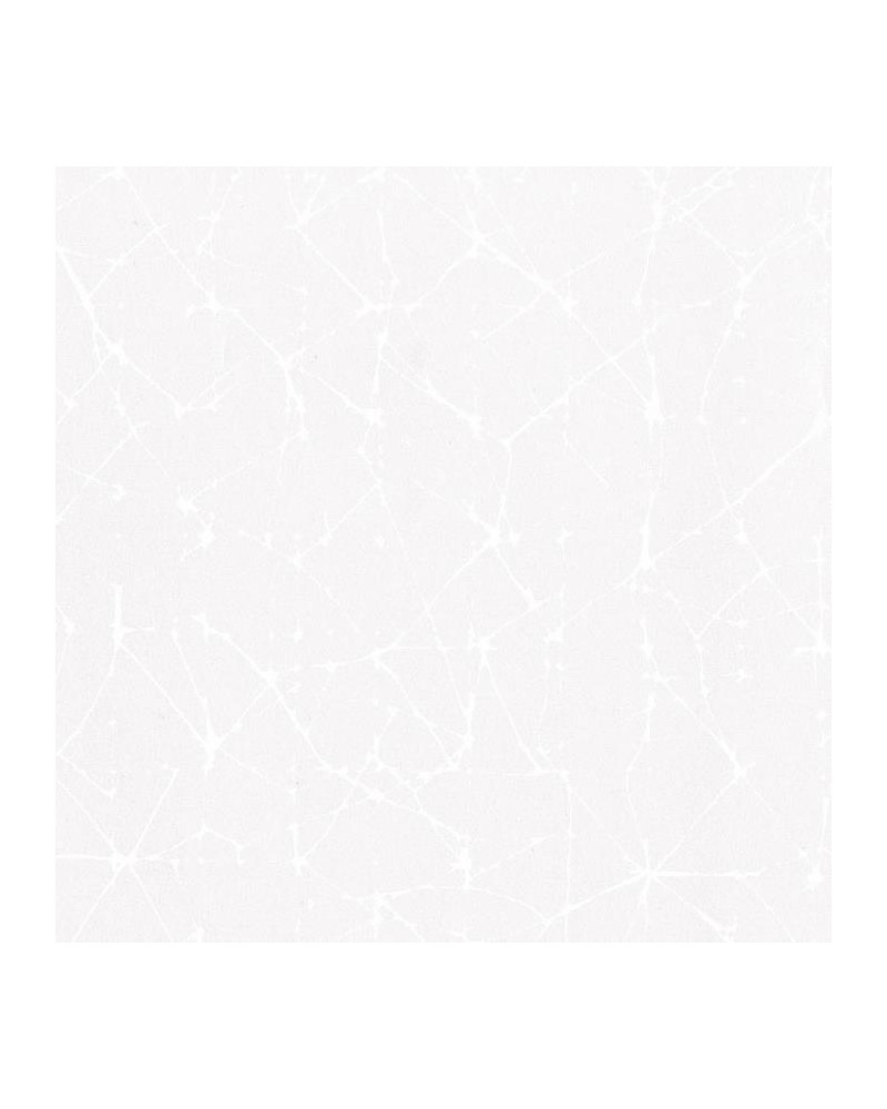 Papier peint VERMEER WALL AVORIO 23025-1 - RUBELLI Papier peint VERMEER WALL AVORIO 23025-1 - RUBELLI