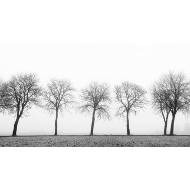 Carta da Parati R12981-10 TREE SOLDIERS - REBEL WALLS