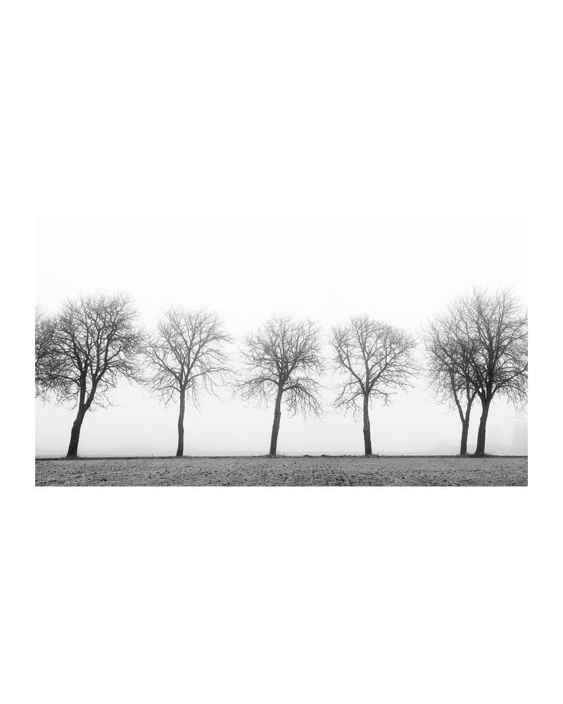 Papel de parede R12981-10 TREE SOLDIERS - REBEL WALLS Papel de parede R12981-10 TREE SOLDIERS - REBEL WALLS