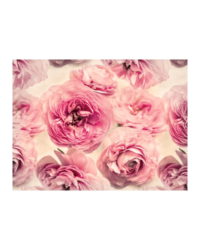 Carta da Parati R13091-8 SUMMER WIND - REBEL WALLS Carta da Parati R13091-8 SUMMER WIND - REBEL WALLS