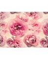 Carta da Parati R13091-8 SUMMER WIND - REBEL WALLS