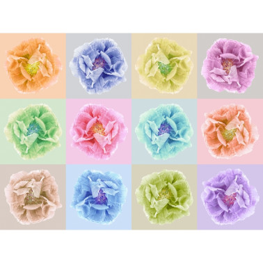 Carta da Parati R13151-8 POPPY ART ANDY - REBEL WALLS