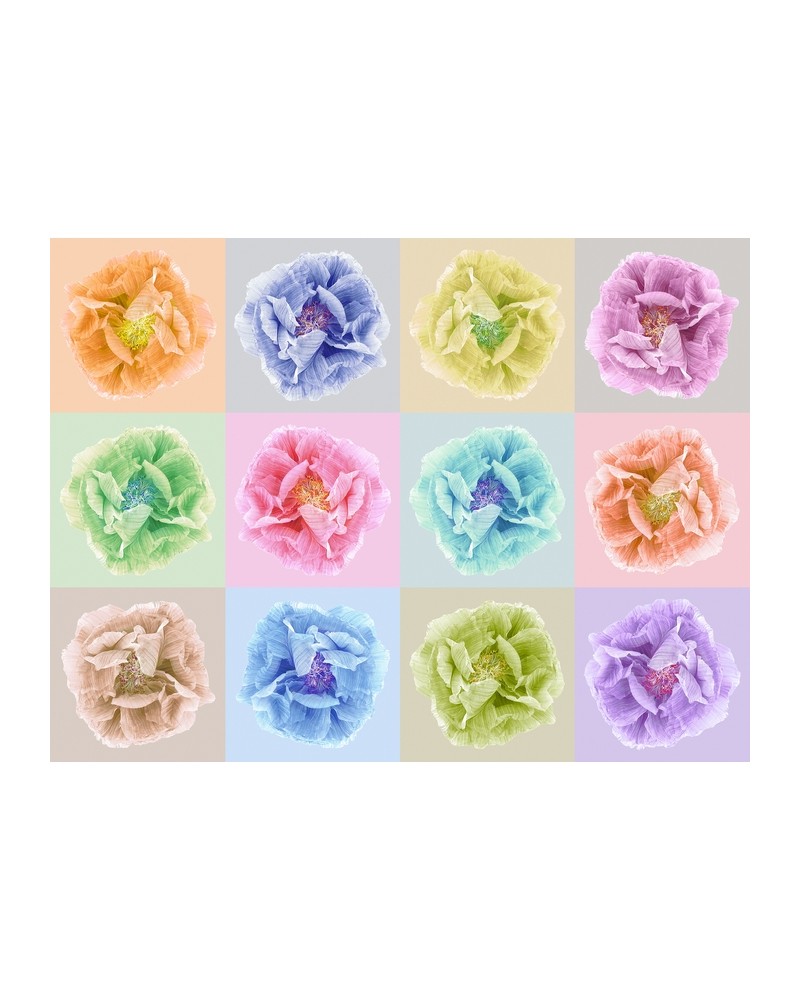 Carta da Parati R13151-8 POPPY ART ANDY - REBEL WALLS Carta da Parati R13151-8 POPPY ART ANDY - REBEL WALLS