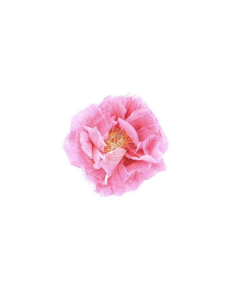 Carta da Parati R13161-8 POPPY ART - REBEL WALLS Carta da Parati R13161-8 POPPY ART - REBEL WALLS