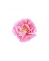 Carta da Parati R13161-8 POPPY ART - REBEL WALLS