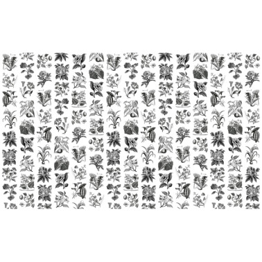 Carta da Parati R13171-4 FRUIT & FLORA - REBEL WALLS