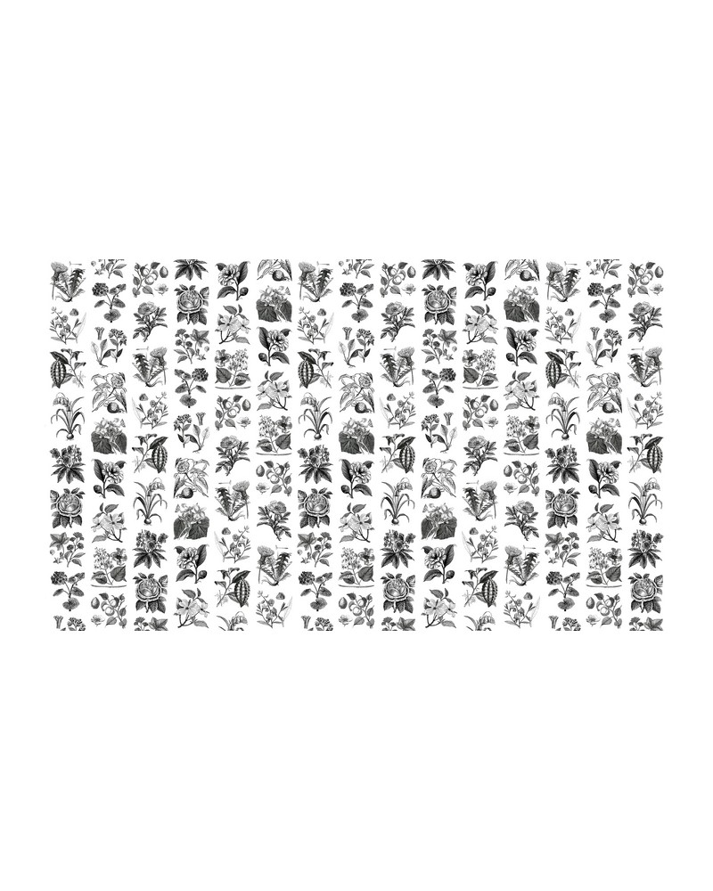 Carta da Parati R13171-4 FRUIT & FLORA - REBEL WALLS Carta da Parati R13171-4 FRUIT & FLORA - REBEL WALLS