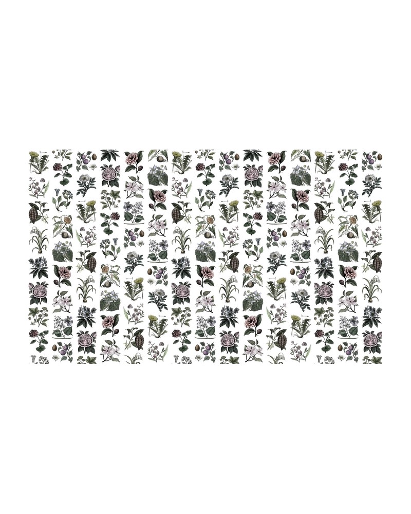 Carta da Parati R13172-4 FRUIT & FLORA - REBEL WALLS Carta da Parati R13172-4 FRUIT & FLORA - REBEL WALLS