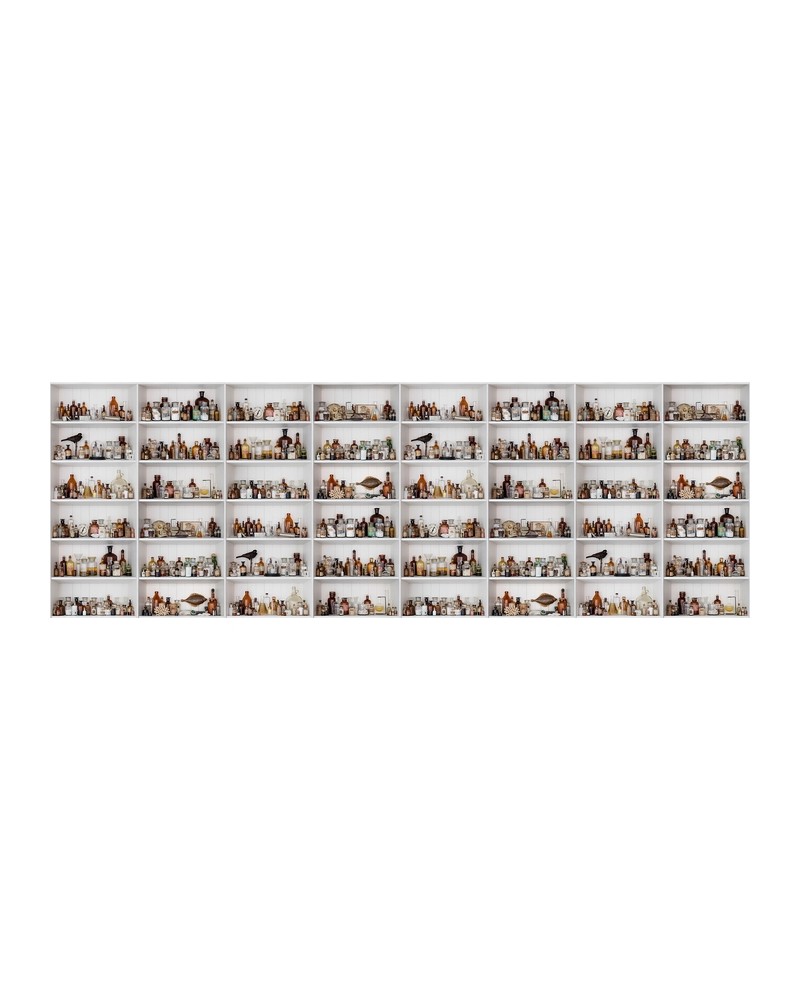 Papel de parede NO 7 - Curious R14181 - REBEL WALLS Papel de parede NO 7 - Curious R14181 - REBEL WALLS