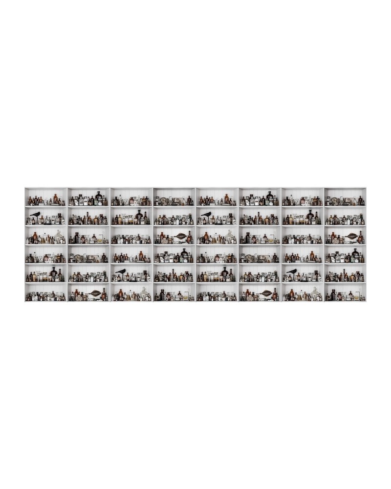 Papier peint NO 7 - Curious R14182 - REBEL WALLS Papier peint NO 7 - Curious R14182 - REBEL WALLS