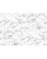 Papier peint NO 7 - Curious R14192 - REBEL WALLS