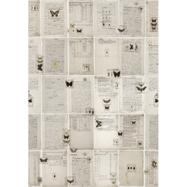 Carta da Parati NO 7 - Curious R14251 - REBEL WALLS