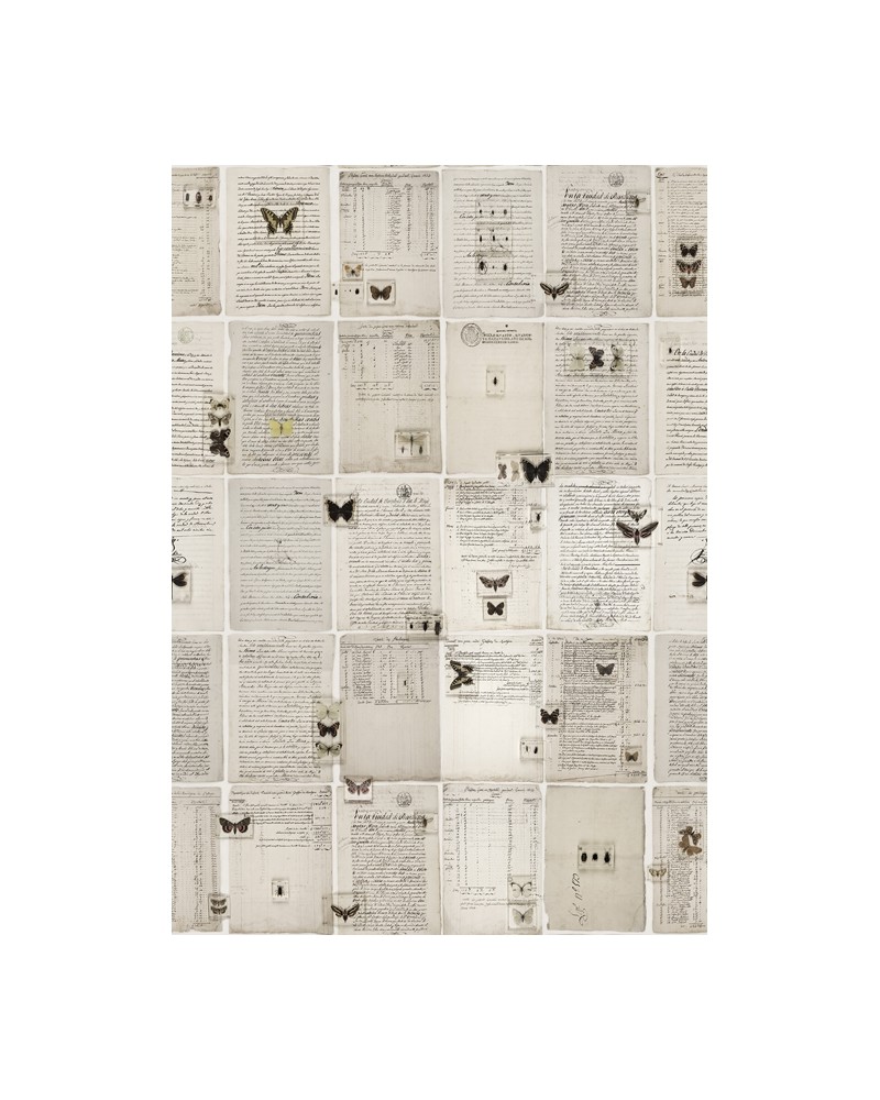 Papier peint NO 7 - Curious R14251 - REBEL WALLS Papier peint NO 7 - Curious R14251 - REBEL WALLS