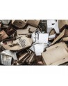 Wallpaper NO 7 - Curious R14391 - REBEL WALLS