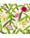 Papier peint NO 8 - Storytime R50904 - REBEL WALLS