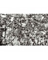 Papel de parede NO 8 - Storytime R51003 - REBEL WALLS