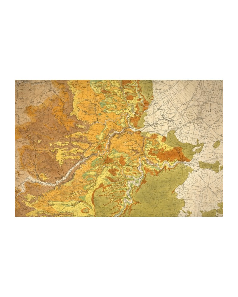 Tapete NO 5 - Maps R13761 - REBEL WALLS Tapete NO 5 - Maps R13761 - REBEL WALLS