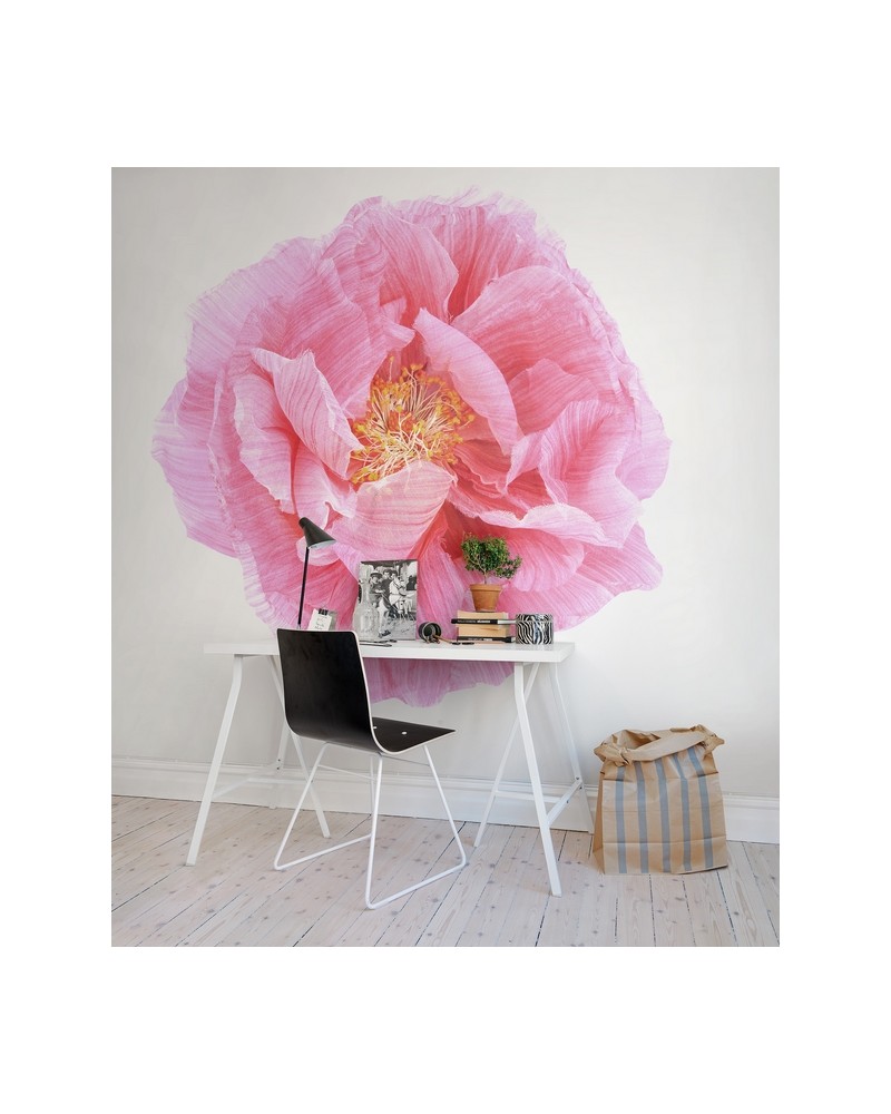 Carta da Parati R13161-8 POPPY ART - REBEL WALLS