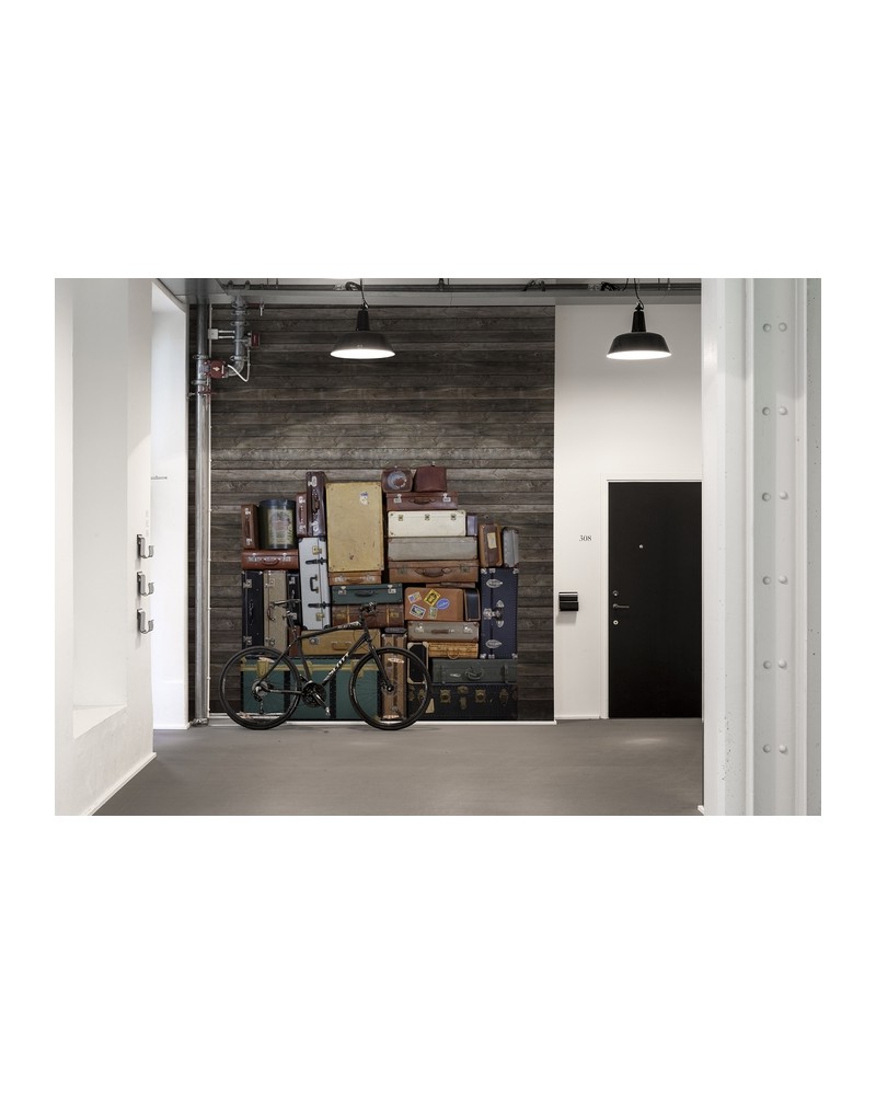 Carta da Parati NO 6 - Pasion R14062 - REBEL WALLS