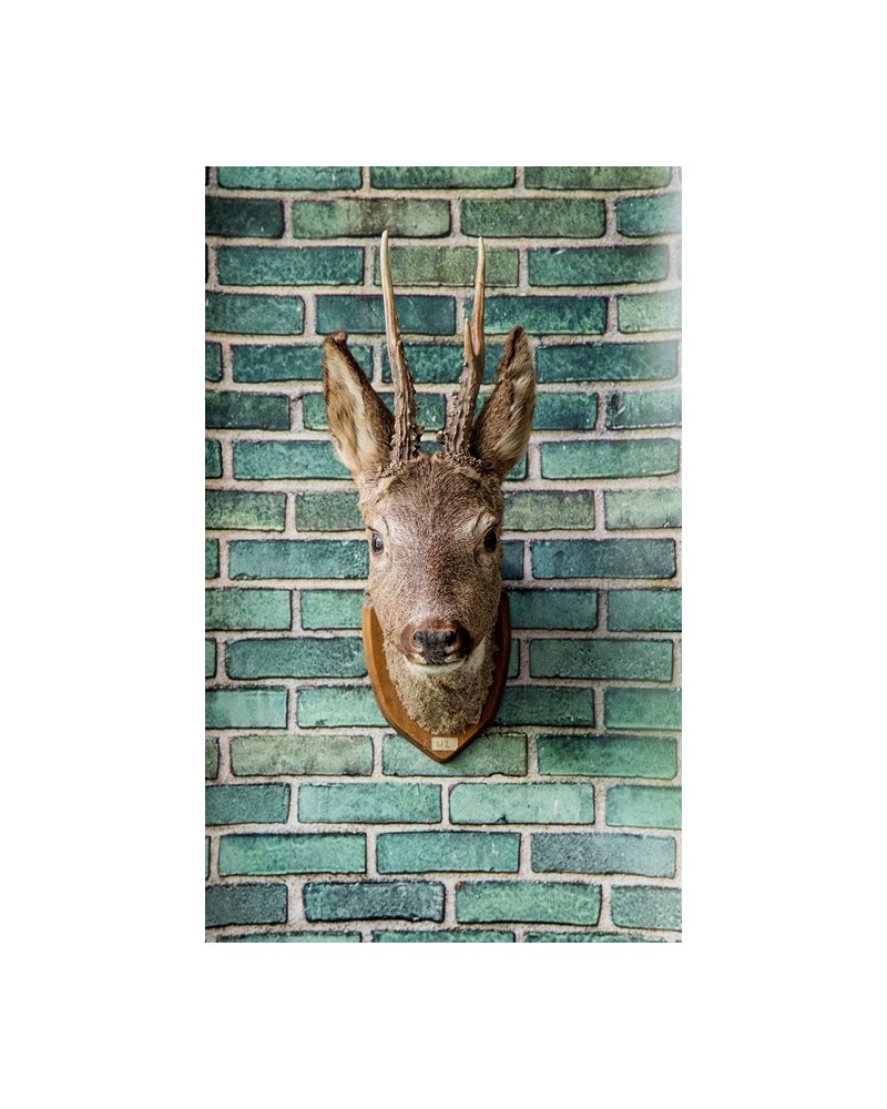 Papel de parede NO 7 - Curious R14211 - REBEL WALLS