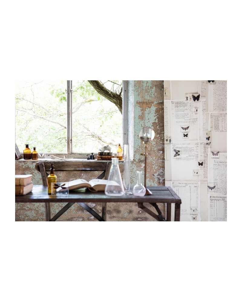 Carta da Parati NO 7 - Curious R14252 - REBEL WALLS