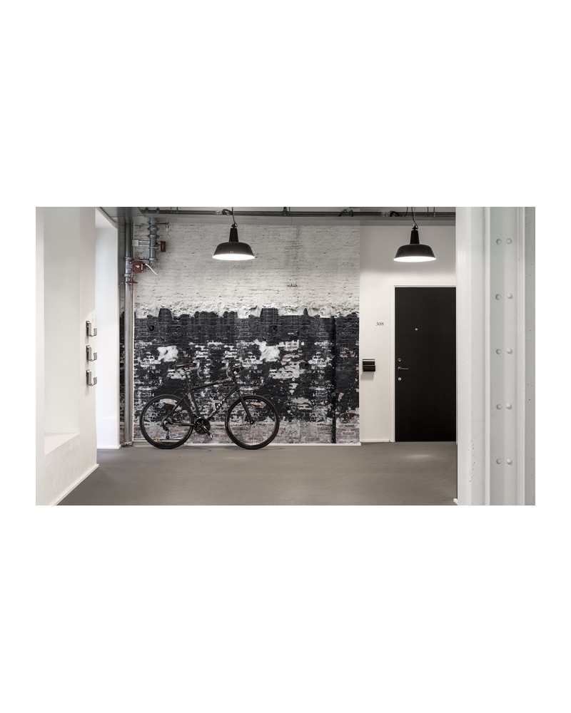 Carta da Parati NO 7 - Curious R14281 - REBEL WALLS