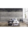 Wallpaper NO 7 - Curious R14291 - REBEL WALLS