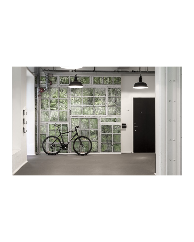 Wallpaper NO 7 - Curious R14371 - REBEL WALLS