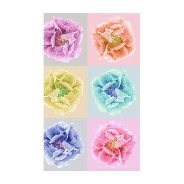 Carta da Parati R13151-4 POPPY ART ANDY - REBEL WALLS