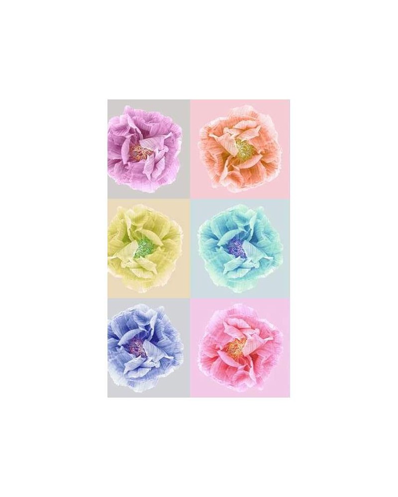 Wallpaper R13151-4 POPPY ART ANDY - REBEL WALLS Wallpaper R13151-4 POPPY ART ANDY - REBEL WALLS