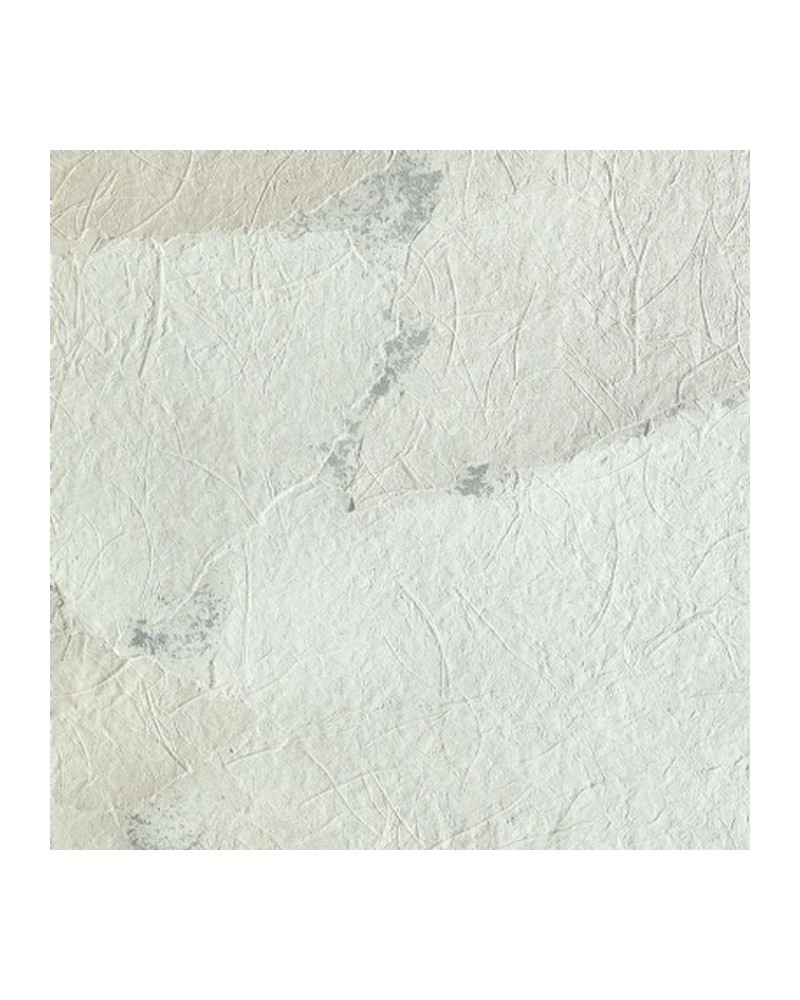 Carta da Parati R13057-8 BELLEWOOD PINK - REBEL WALLS