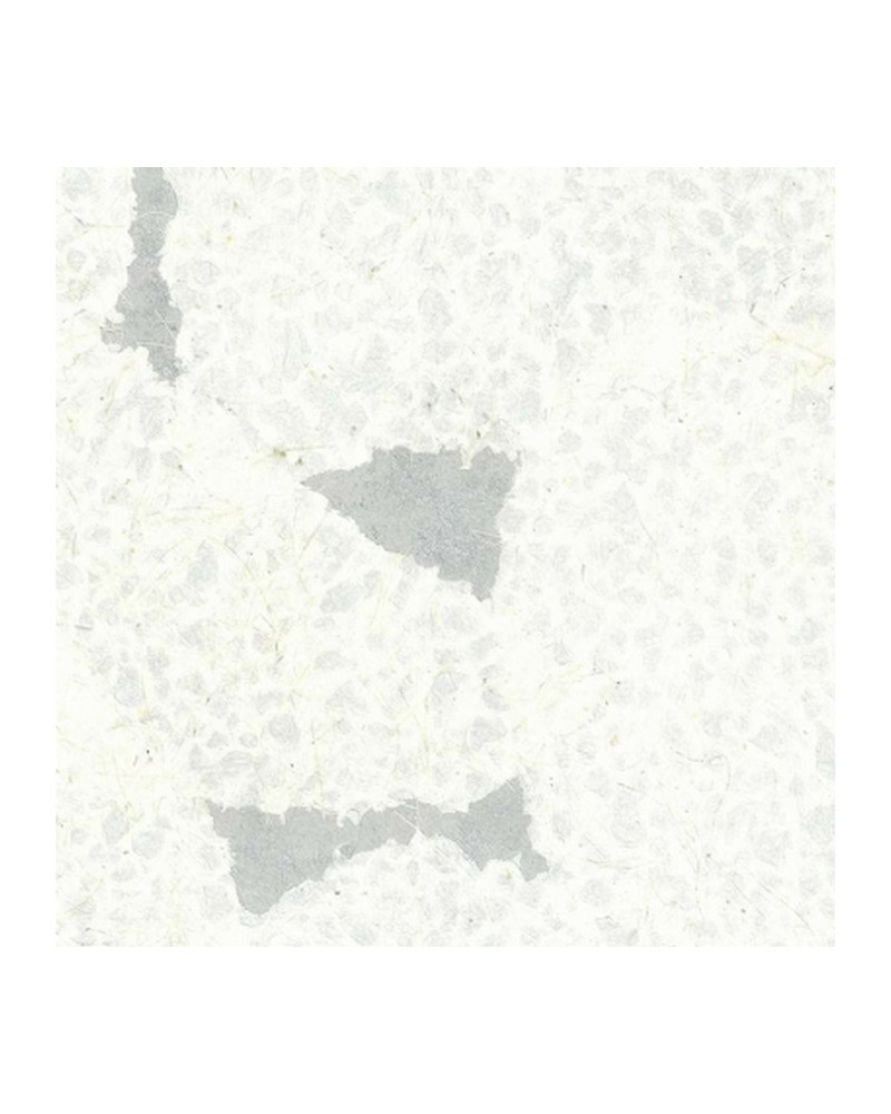 Papier peint R13041-8 WELCOME TO THE JUNGLE - REBEL WALLS