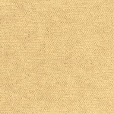 Papel Pintado CESTO 05 - LIZZO - LIZZO